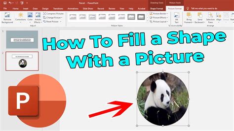 how to make an image fill a shape in powerpoint