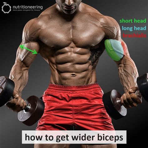 how to make biceps and triceps wider