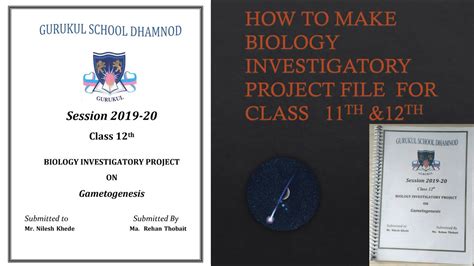 how to make biology project file class 12