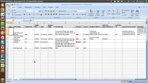 how to make bug report in excel