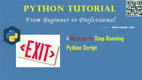 how to make code stop running python