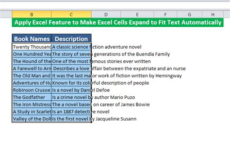 how to make excel cells expand to fit text automatically macro