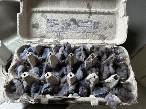 how to make fire starters with egg cartons and lint