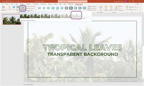 how to make image in powerpoint transparent