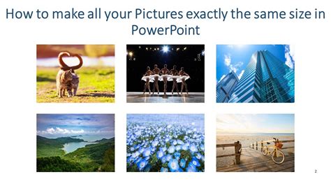how to make images in powerpoint the same size