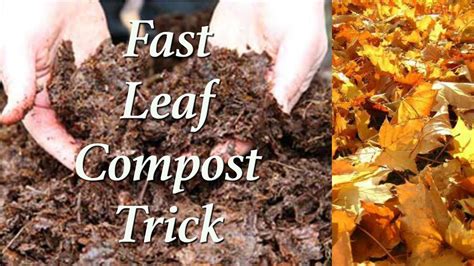 how to make leaf compost quickly