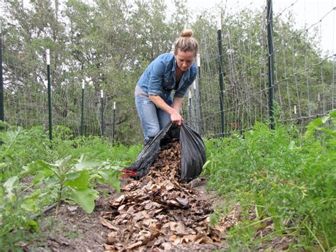 how to make leaf mulch in the garden
