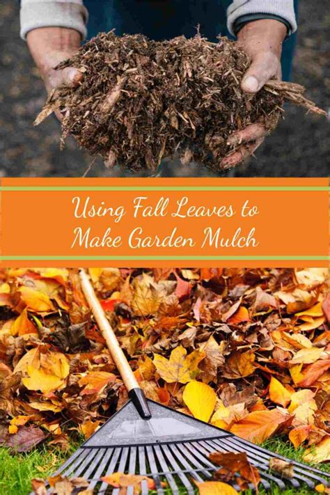 how to make leaf mulch uk