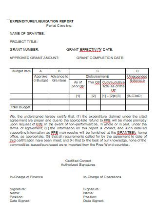 how to make liquidation report sample