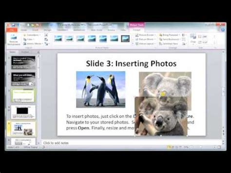 how to make multimedia presentation in powerpoint
