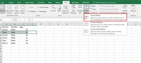 how to make only one page visible in excel