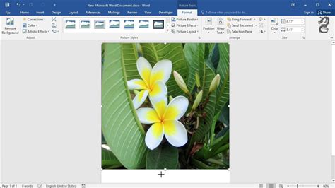 how to make picture in word full page