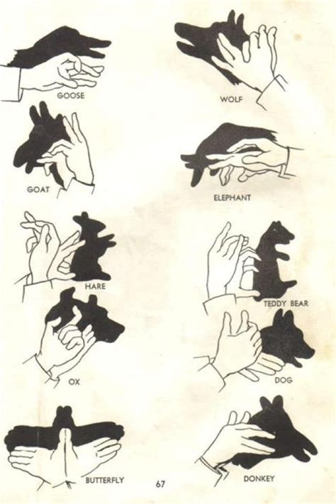 how to make shadow figures with your hands