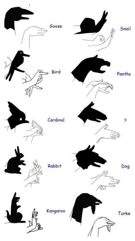 how to make shadow shapes with hands