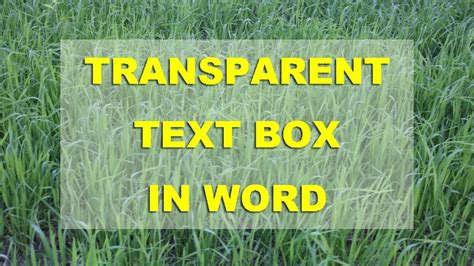 how to make text box in microsoft word transparent