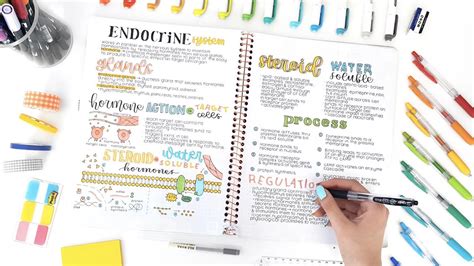 how to make your notes aesthetic on goodnotes