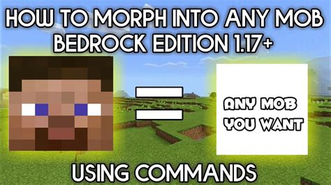 how to morph in minecraft with commands no mods