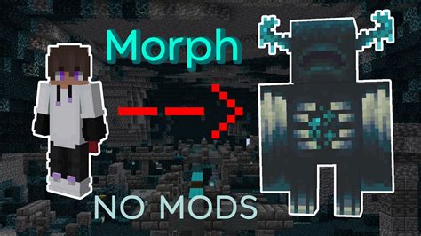 how to morph into any mob in minecraft java