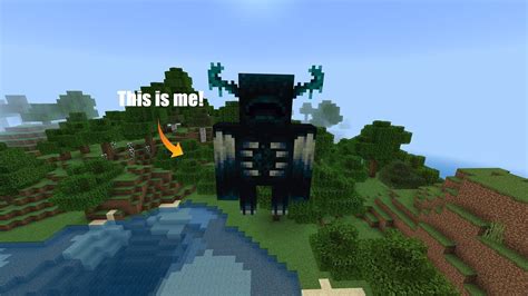 how to morph into mobs in minecraft with commands java