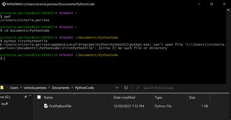 how to open a python file in git bash