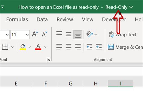 how to open an excel sheet as read only