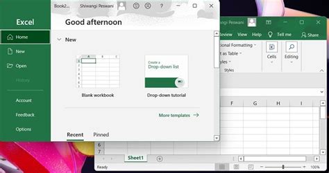 how to open each excel file in a separate window