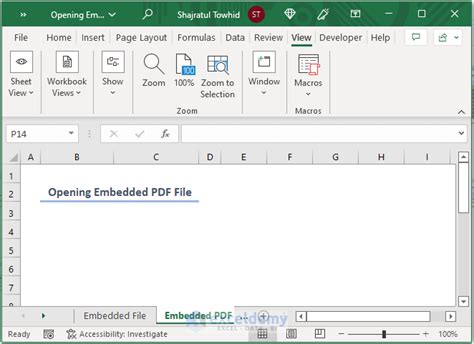 how to open embedded file in excel on mac