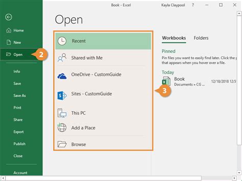 how to open excel workbook in browser