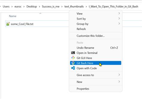 how to open git bash
