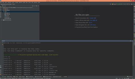 how to open git bash in intellij