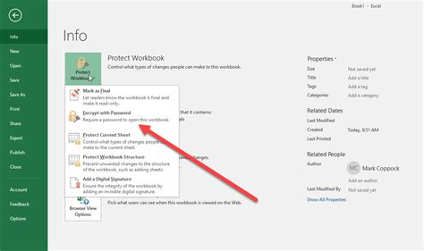how to open password protected excel file in macbook