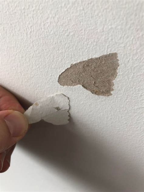how to paint over patches on walls