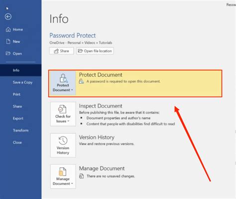 how to password protect a document in word on mac