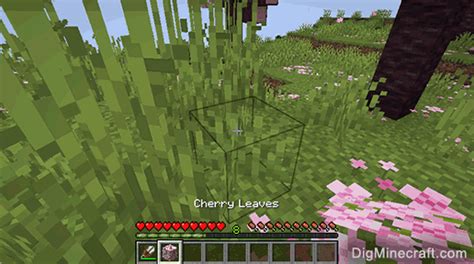 how to pick up leaf blocks in minecraft