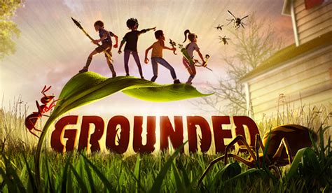 how to play grounded multiplayer pc