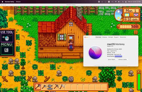 how to play stardew valley on macos