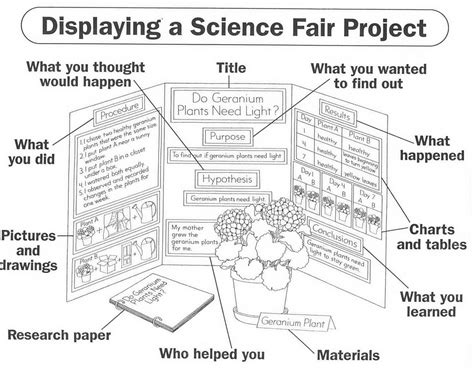 how to prepare for science fair presentation