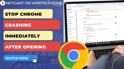 how to prevent google chrome from crashing