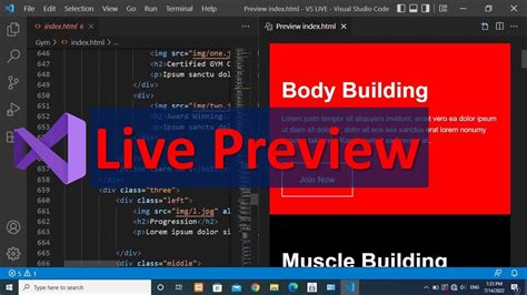 how to preview code in visual studio