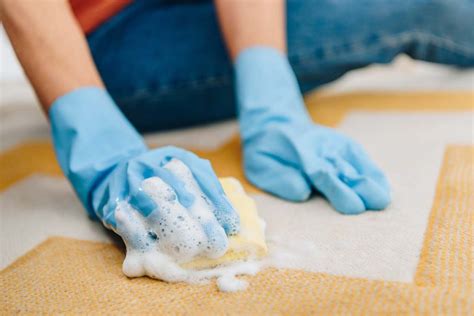 how to properly shampoo carpet