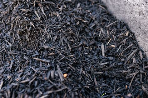how to put down black mulch