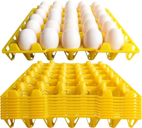 how to put eggs in a tray