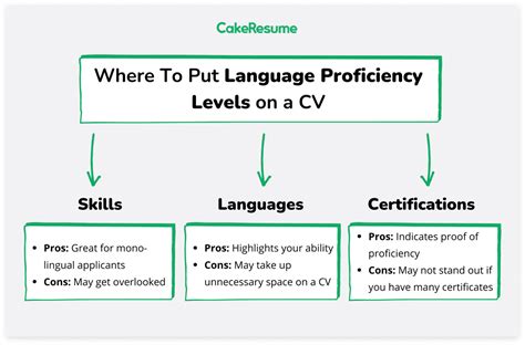 how to put language level in cv
