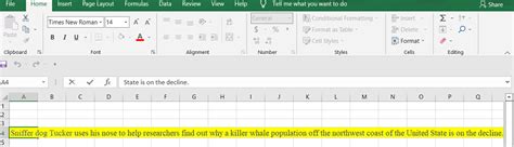 how to put long text in excel cell