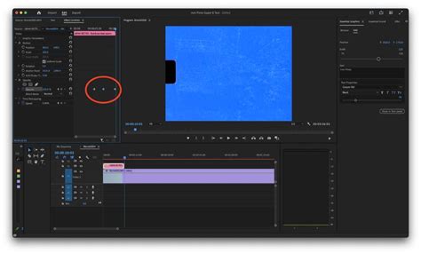 how to put multiple videos in one frame premiere pro
