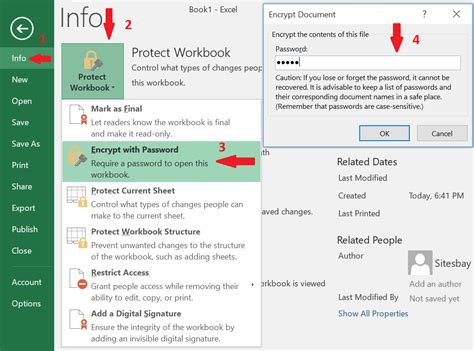how to put password in excel sheet