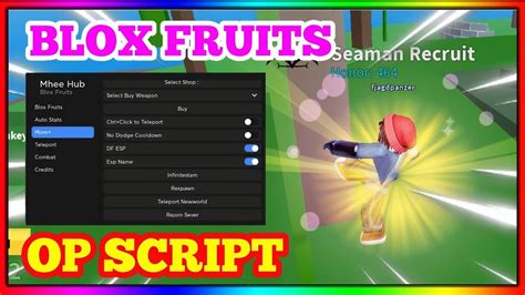 how to put script in roblox blox fruit