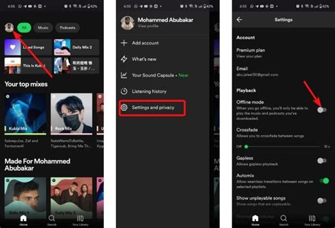 how to put spotify into offline mode
