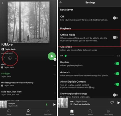 how to put spotify on offline mode iphone