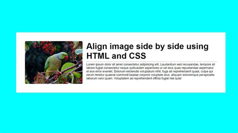 how to put text next to an image in html css